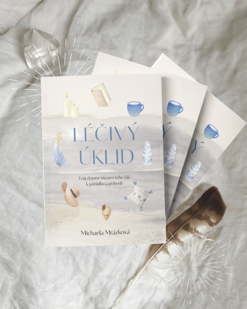 Kniha Léčivý úklid